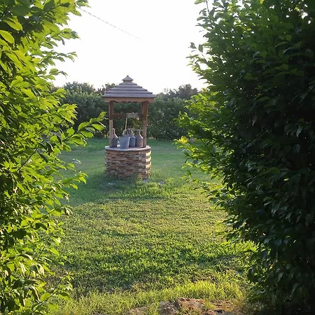 וילה Green